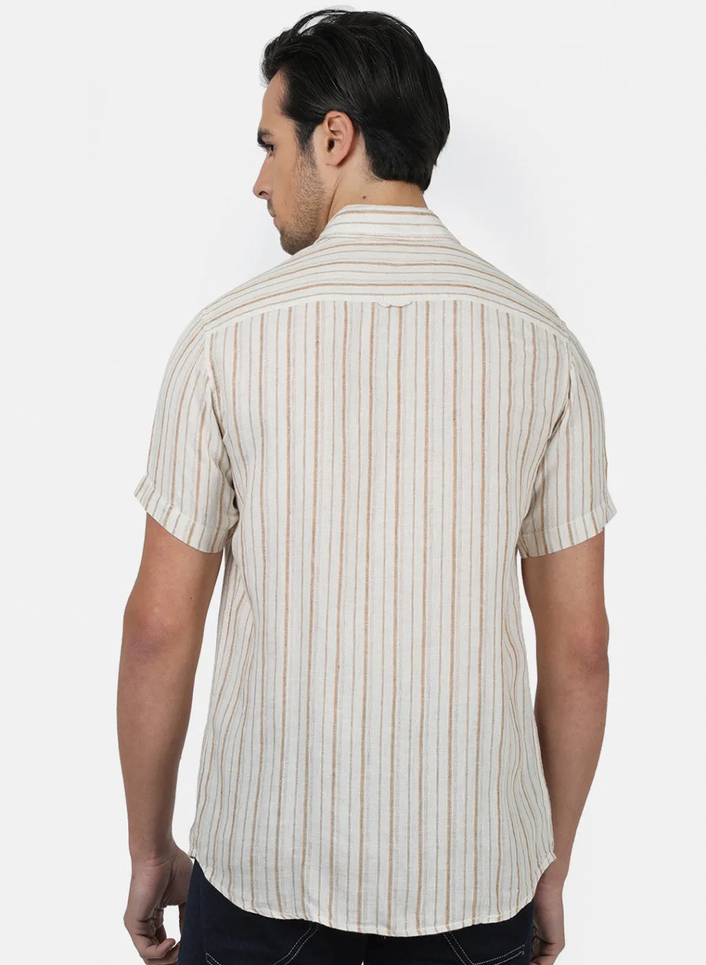 Men Brown Stripe Shirts